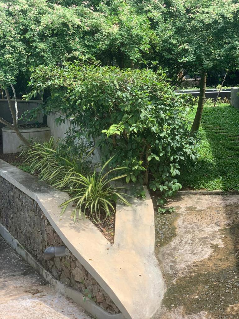 Villa Peace Heaven Гале Екстериор снимка